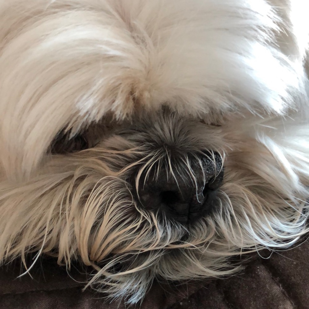 Meet your Posher, D.